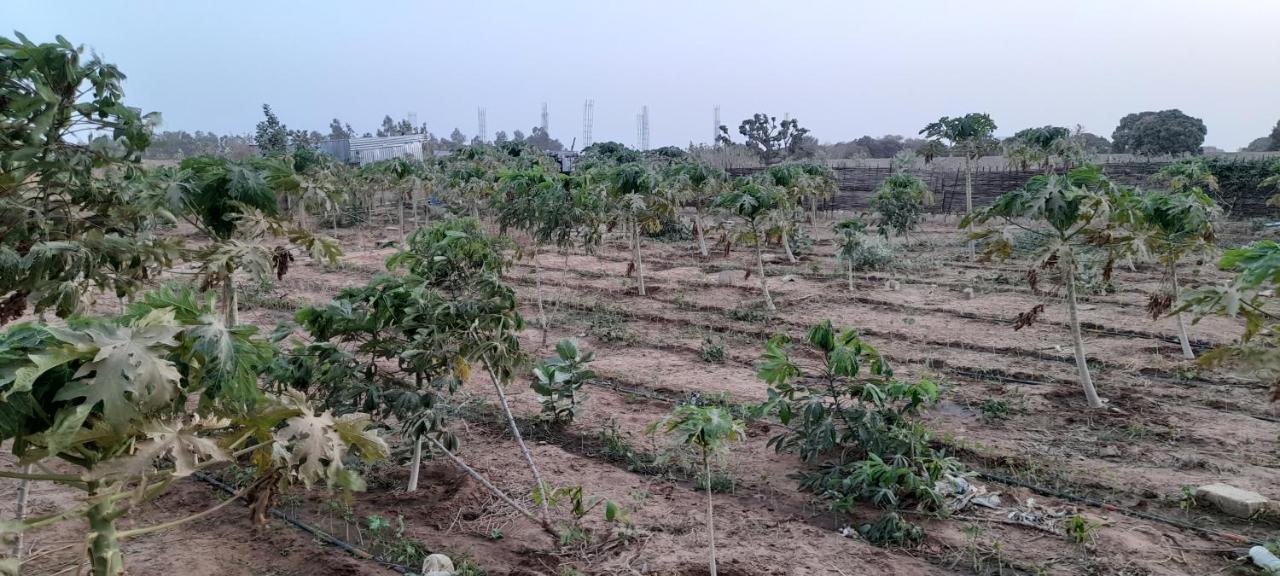 Saly Lrad Le Village Ngaring Ngoại thất bức ảnh